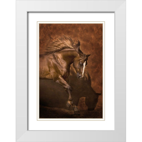 Horse Dancer White Modern Wood Framed Art Print with Double Matting by Dawson, Robert