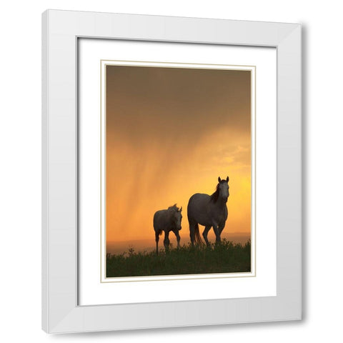 Evening Walk White Modern Wood Framed Art Print with Double Matting by Dawson, Robert