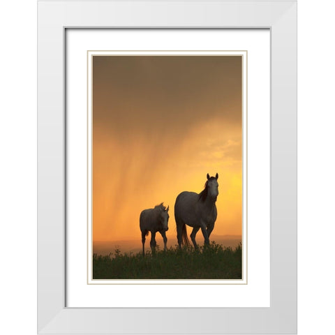 Evening Walk White Modern Wood Framed Art Print with Double Matting by Dawson, Robert