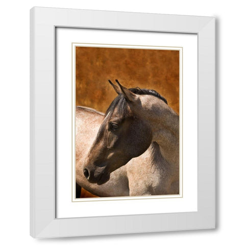 Leos Son White Modern Wood Framed Art Print with Double Matting by Dawson, Robert