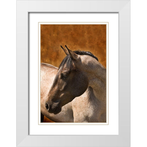 Leos Son White Modern Wood Framed Art Print with Double Matting by Dawson, Robert
