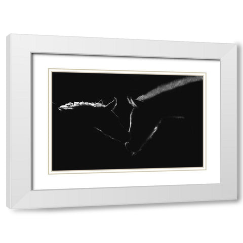 Moonlight Kiss White Modern Wood Framed Art Print with Double Matting by Dawson, Robert