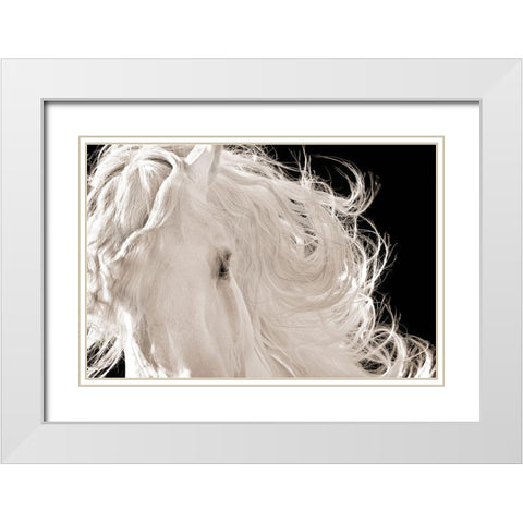 Leonardo White Modern Wood Framed Art Print with Double Matting by Dawson, Robert