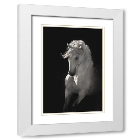 Into the Light White Modern Wood Framed Art Print with Double Matting by Dawson, Robert