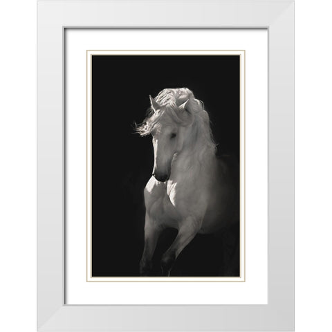 Into the Light White Modern Wood Framed Art Print with Double Matting by Dawson, Robert