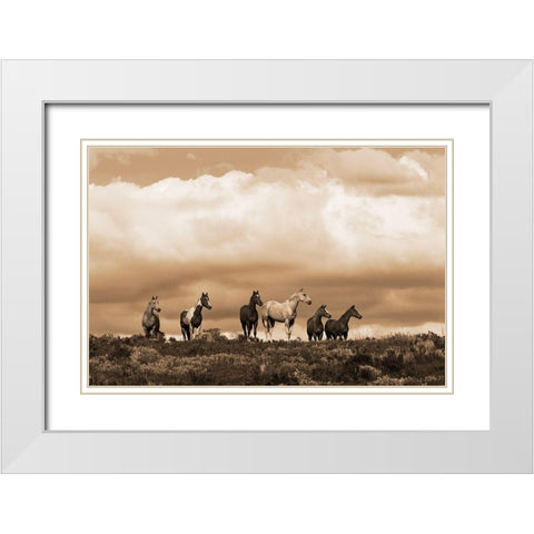 Prairie Song White Modern Wood Framed Art Print with Double Matting by Dawson, Robert