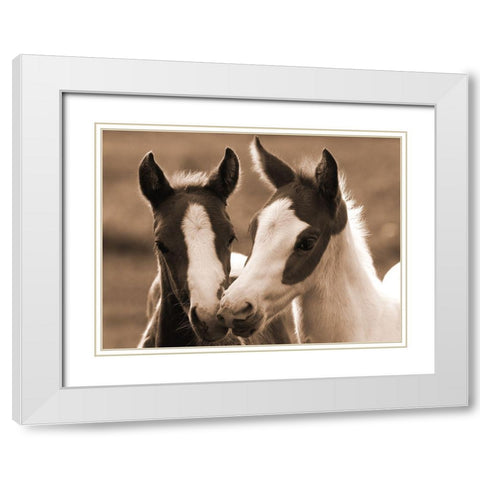 Playful Friends White Modern Wood Framed Art Print with Double Matting by Dawson, Robert