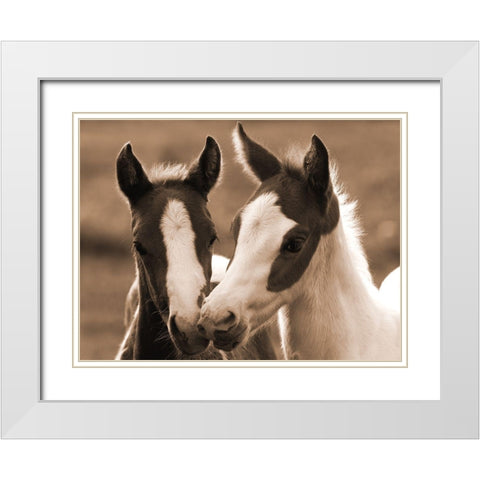 Playful Friends White Modern Wood Framed Art Print with Double Matting by Dawson, Robert