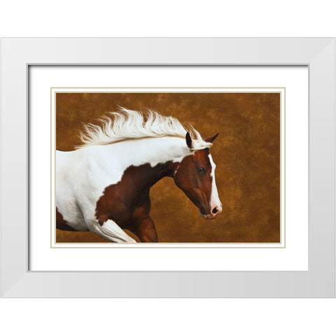 My Little Bella White Modern Wood Framed Art Print with Double Matting by Dawson, Robert