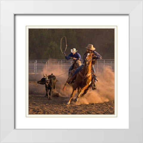 Roping on the Ranch III White Modern Wood Framed Art Print with Double Matting by Dawson, Robert