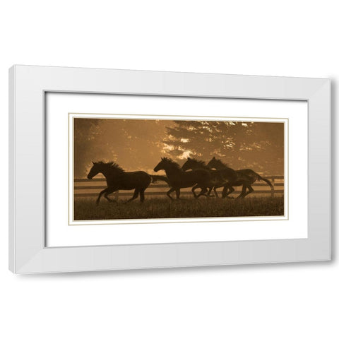 Running For Home II White Modern Wood Framed Art Print with Double Matting by Dawson, Robert