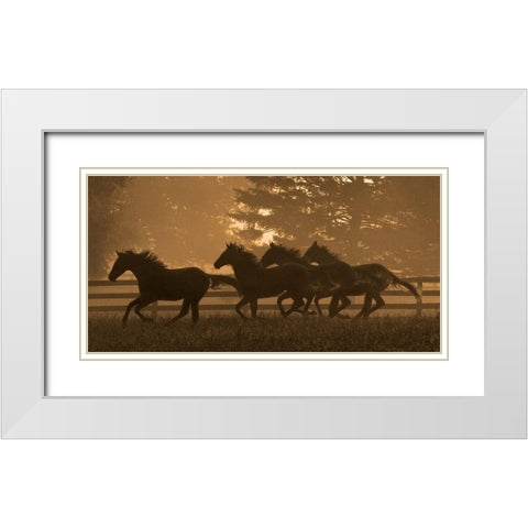 Running For Home II White Modern Wood Framed Art Print with Double Matting by Dawson, Robert