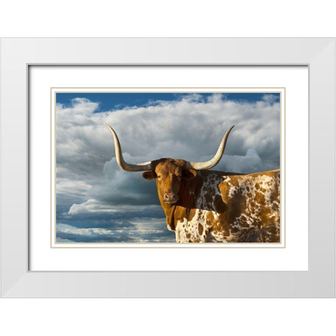 Texas Longhorn ~ Color White Modern Wood Framed Art Print with Double Matting by Dawson, Robert