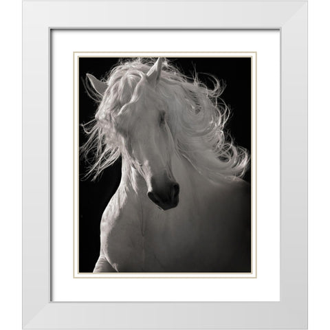 The Lusitano Dancer White Modern Wood Framed Art Print with Double Matting by Dawson, Robert