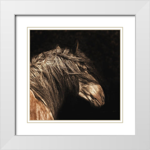 The Dreamer White Modern Wood Framed Art Print with Double Matting by Dawson, Robert