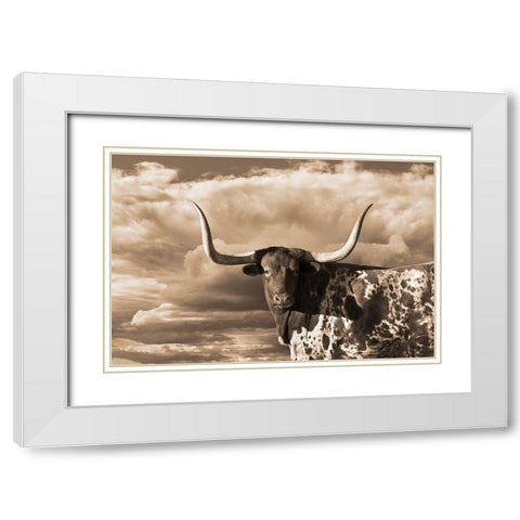 Texas Longhorn ~ Sepia White Modern Wood Framed Art Print with Double Matting by Dawson, Robert