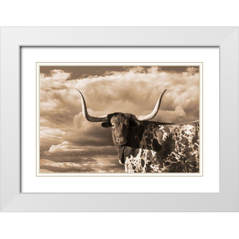 Texas Longhorn ~ Sepia White Modern Wood Framed Art Print with Double Matting by Dawson, Robert