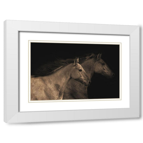 Young Mustangs White Modern Wood Framed Art Print with Double Matting by Dawson, Robert