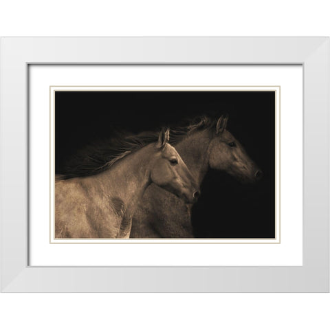 Young Mustangs White Modern Wood Framed Art Print with Double Matting by Dawson, Robert