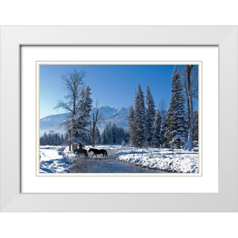 Winter In the Wallowa White Modern Wood Framed Art Print with Double Matting by Dawson, Robert