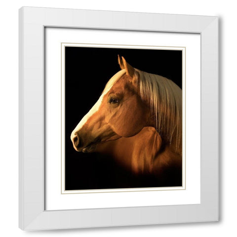 Yellow Jersey White Modern Wood Framed Art Print with Double Matting by Dawson, Robert