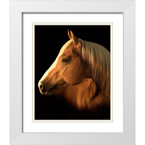 Yellow Jersey White Modern Wood Framed Art Print with Double Matting by Dawson, Robert
