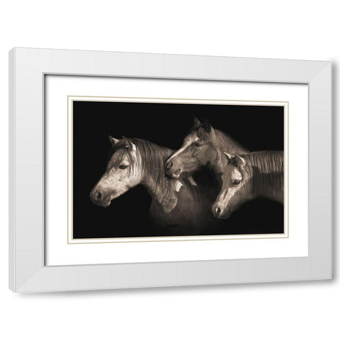 Three Ponies White Modern Wood Framed Art Print with Double Matting by Dawson, Robert