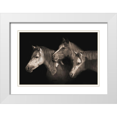 Three Ponies White Modern Wood Framed Art Print with Double Matting by Dawson, Robert