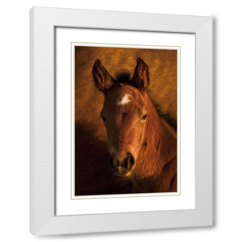 Whats Up White Modern Wood Framed Art Print with Double Matting by Dawson, Robert