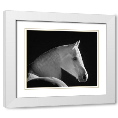 White Shadow White Modern Wood Framed Art Print with Double Matting by Dawson, Robert
