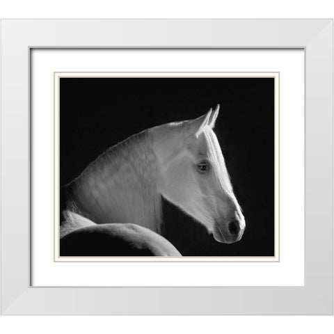 White Shadow White Modern Wood Framed Art Print with Double Matting by Dawson, Robert
