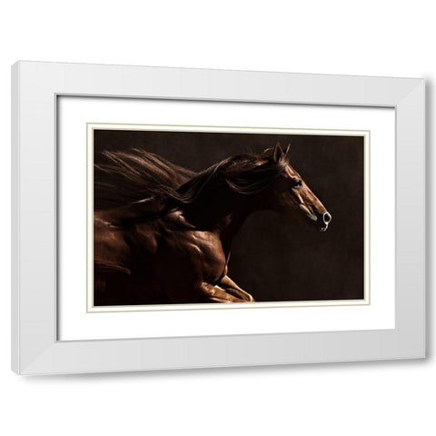 Into the Wind White Modern Wood Framed Art Print with Double Matting by Dawson, Robert