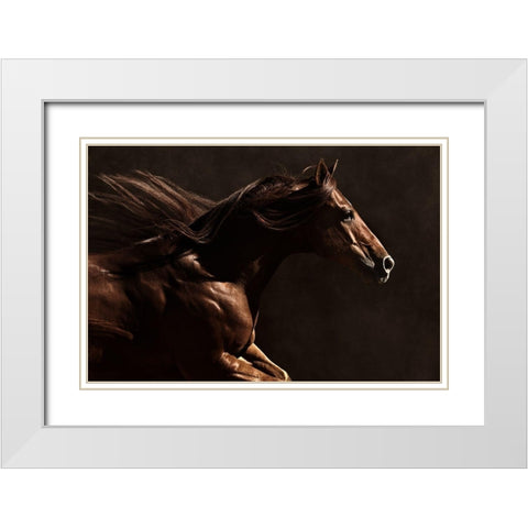 Into the Wind White Modern Wood Framed Art Print with Double Matting by Dawson, Robert