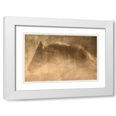 The Quarter Horse White Modern Wood Framed Art Print with Double Matting by Dawson, Robert