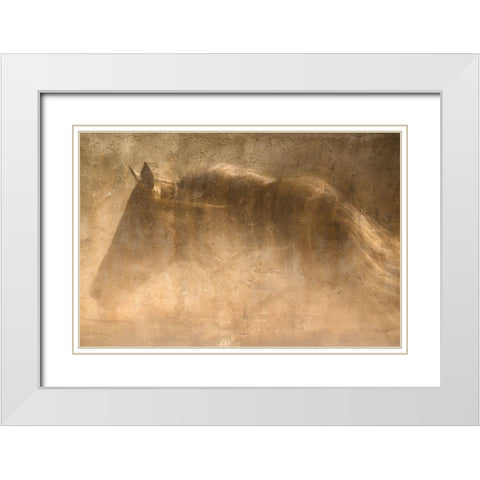 The Quarter Horse White Modern Wood Framed Art Print with Double Matting by Dawson, Robert