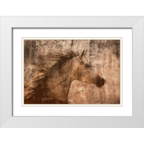 The Arab Prancer White Modern Wood Framed Art Print with Double Matting by Dawson, Robert