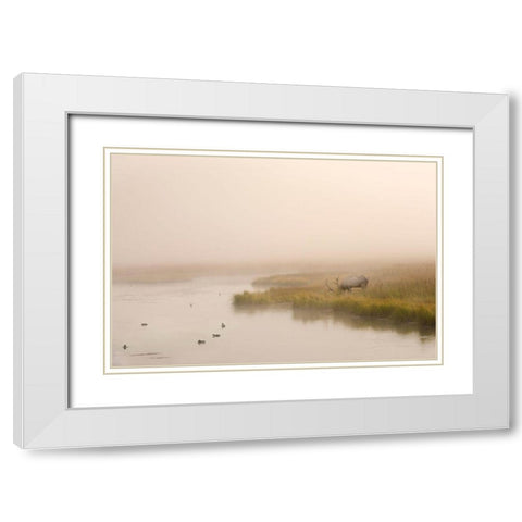 Breakfast in Paridise White Modern Wood Framed Art Print with Double Matting by Dawson, Robert