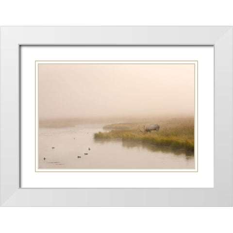 Breakfast in Paridise White Modern Wood Framed Art Print with Double Matting by Dawson, Robert