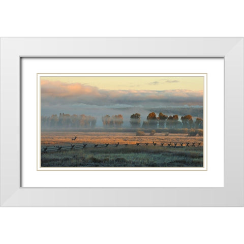 In the Morning Mist White Modern Wood Framed Art Print with Double Matting by Dawson, Robert