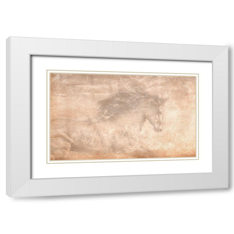 The Stallion White Modern Wood Framed Art Print with Double Matting by Dawson, Robert