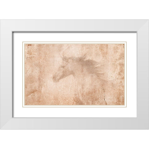 The Arab Horse White Modern Wood Framed Art Print with Double Matting by Dawson, Robert