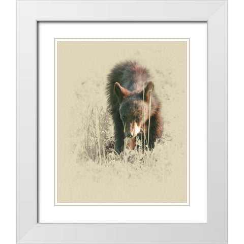 Young Black Bear White Modern Wood Framed Art Print with Double Matting by Brown, Jim
