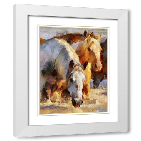 Shallow Water White Modern Wood Framed Art Print with Double Matting by Bolokofsky, Ronald