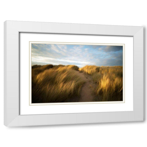 Grassy Dune White Modern Wood Framed Art Print with Double Matting by Bolokofsky, Ronald