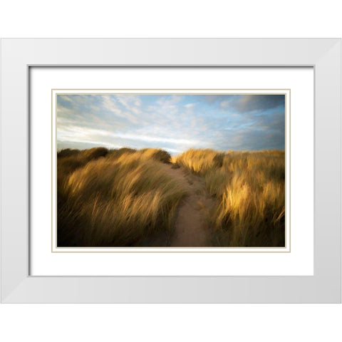 Grassy Dune White Modern Wood Framed Art Print with Double Matting by Bolokofsky, Ronald