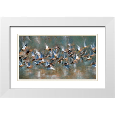 Long Billed Dowitcher White Modern Wood Framed Art Print with Double Matting by Bolokofsky, Ronald