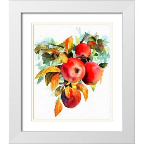 Apples White Modern Wood Framed Art Print with Double Matting by Bolokofsky, Ronald