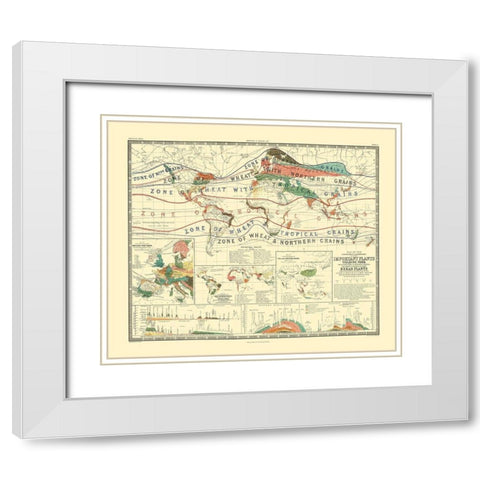 World Cultivation Grains - Johnston White Modern Wood Framed Art Print with Double Matting by Johnston