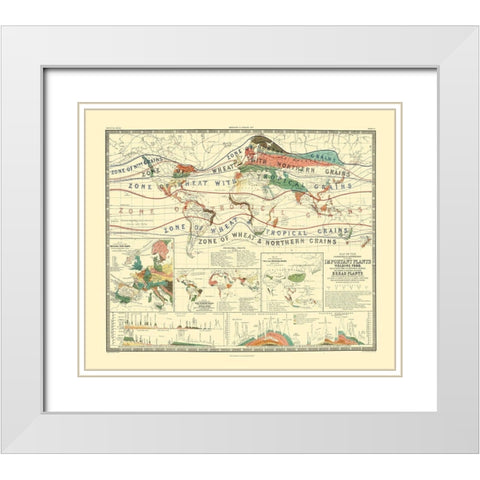 World Cultivation Grains - Johnston White Modern Wood Framed Art Print with Double Matting by Johnston