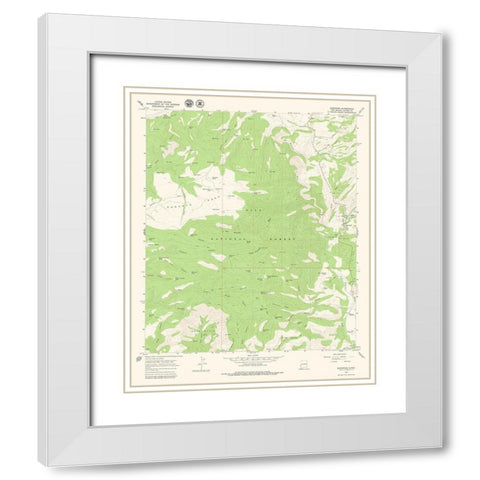 Glenwood New Mexico Quad - USGS 1965 White Modern Wood Framed Art Print with Double Matting by USGS